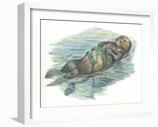 Sea Otter Enhydra Lutris Sleeping in Water-null-Framed Giclee Print