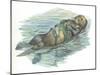 Sea Otter Enhydra Lutris Sleeping in Water-null-Mounted Giclee Print