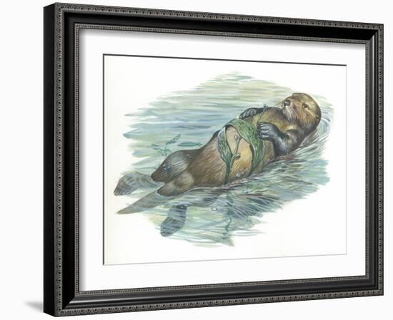 Sea Otter Enhydra Lutris Sleeping in Water-null-Framed Giclee Print
