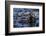 Sea Otter Floating in Kelp-DLILLC-Framed Photographic Print