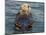 Sea Otter, Prince William Sound, Alaska, USA-Hugh Rose-Mounted Photographic Print
