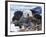 Sea Otter, San Luis Obispo County, California, USA-Cathy & Gordon Illg-Framed Photographic Print