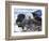 Sea Otter, San Luis Obispo County, California, USA-Cathy & Gordon Illg-Framed Photographic Print