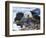 Sea Otter, San Luis Obispo County, California, USA-Cathy & Gordon Illg-Framed Photographic Print