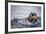 Sea Otter with Pup in Kukak Bay-Paul Souders-Framed Photographic Print