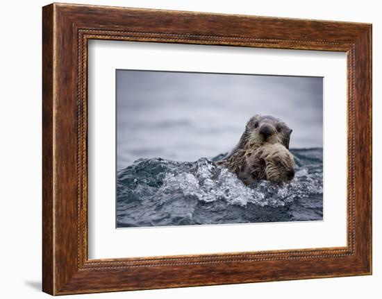 Sea Otter with Pup in Kukak Bay-Paul Souders-Framed Photographic Print