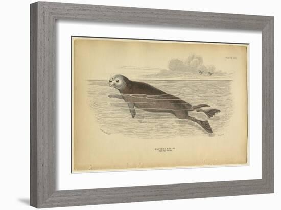 Sea Otter-null-Framed Art Print