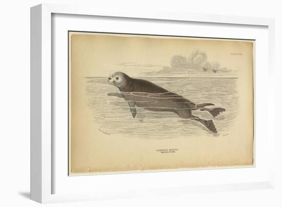 Sea Otter-null-Framed Art Print