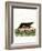 Sea Otter-null-Framed Giclee Print