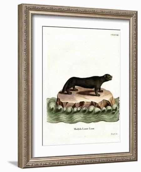 Sea Otter-null-Framed Giclee Print