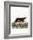 Sea Otter-null-Framed Giclee Print