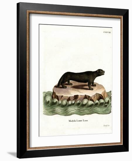 Sea Otter-null-Framed Giclee Print