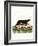Sea Otter-null-Framed Giclee Print