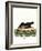 Sea Otter-null-Framed Giclee Print