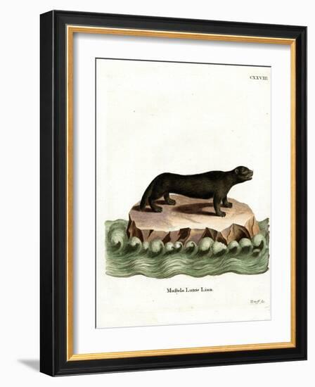 Sea Otter-null-Framed Giclee Print