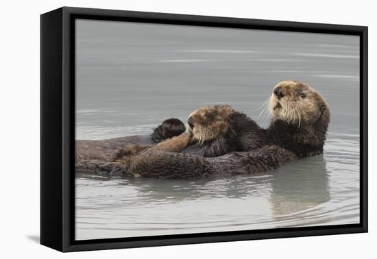 Sea Otters, Mother with Pup-Ken Archer-Framed Premier Image Canvas