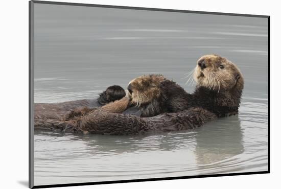 Sea Otters, Mother with Pup-Ken Archer-Mounted Photographic Print