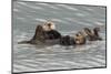 Sea Otters-Ken Archer-Mounted Photographic Print