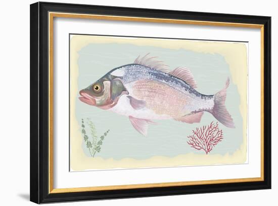 Sea Perch on Retro Style Background-Milovelen-Framed Art Print