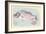 Sea Perch on Retro Style Background-Milovelen-Framed Art Print