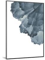 Sea Petals 3-Emma Jones-Mounted Giclee Print