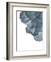 Sea Petals 3-Emma Jones-Framed Giclee Print