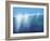 Sea Picture II, 2008-Alan Byrne-Framed Giclee Print