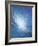 Sea Picture VI, 2008-Alan Byrne-Framed Giclee Print