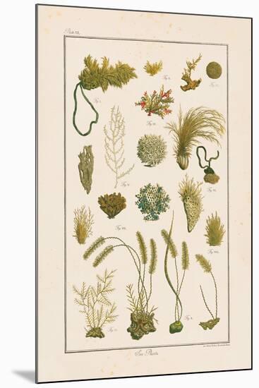 Sea Plants I-Maria Mendez-Mounted Giclee Print