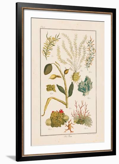 Sea Plants II-Maria Mendez-Framed Giclee Print