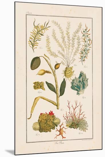 Sea Plants II-Maria Mendez-Mounted Giclee Print