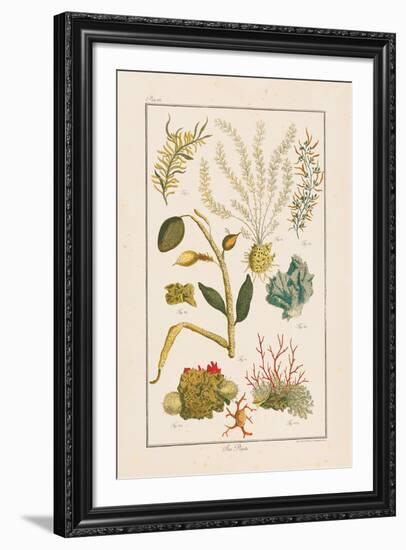 Sea Plants II-Maria Mendez-Framed Giclee Print