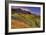 Sea Ranch Barn-Vincent James-Framed Photographic Print