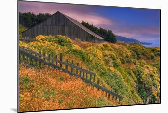 Sea Ranch Barn-Vincent James-Mounted Photographic Print