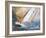 Sea Regatta At A Gale-balaikin2009-Framed Art Print