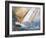 Sea Regatta At A Gale-balaikin2009-Framed Art Print