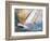 Sea Regatta At A Gale-balaikin2009-Framed Art Print