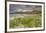 Sea rocket growing on the Strand at Derrynane House, Ring of Kerry, County Kerry, Munster, Republic-Nigel Hicks-Framed Photographic Print