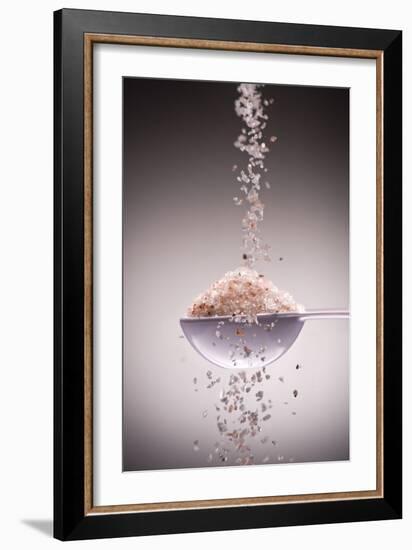 Sea Salt-Steve Gadomski-Framed Photographic Print