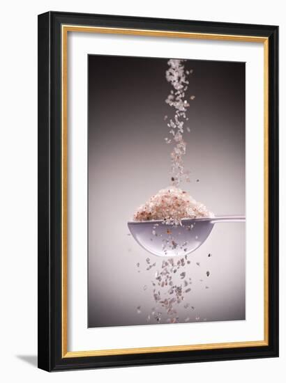 Sea Salt-Steve Gadomski-Framed Photographic Print