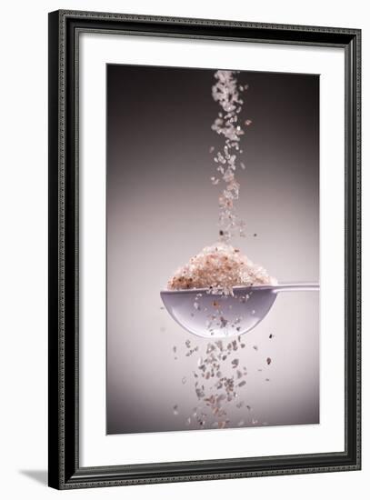 Sea Salt-Steve Gadomski-Framed Photographic Print