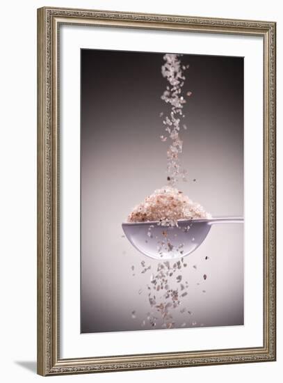 Sea Salt-Steve Gadomski-Framed Photographic Print