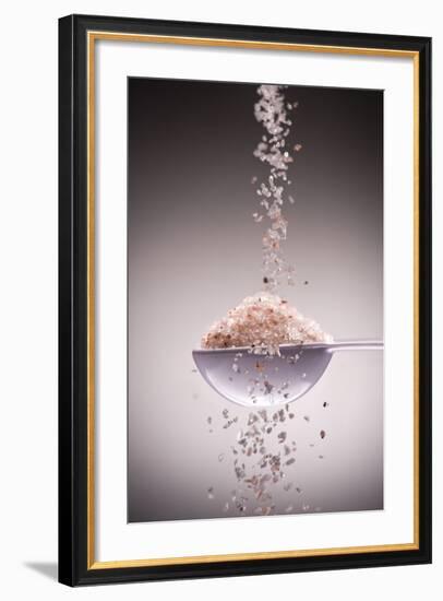 Sea Salt-Steve Gadomski-Framed Photographic Print