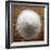 Sea Salt-Steve Gadomski-Framed Photographic Print