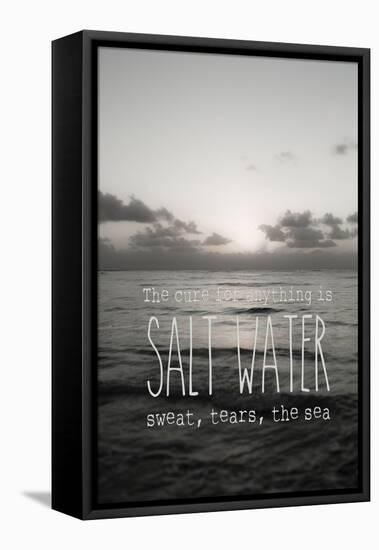 Sea Saltwater 2-Tracey Telik-Framed Stretched Canvas