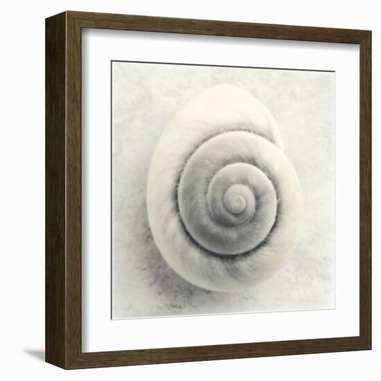 Sea Shapes I-Amy Melious-Framed Art Print