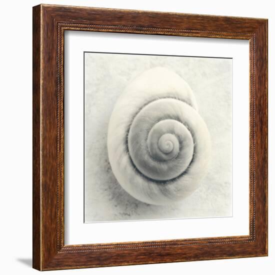 Sea Shapes I-Amy Melious-Framed Art Print