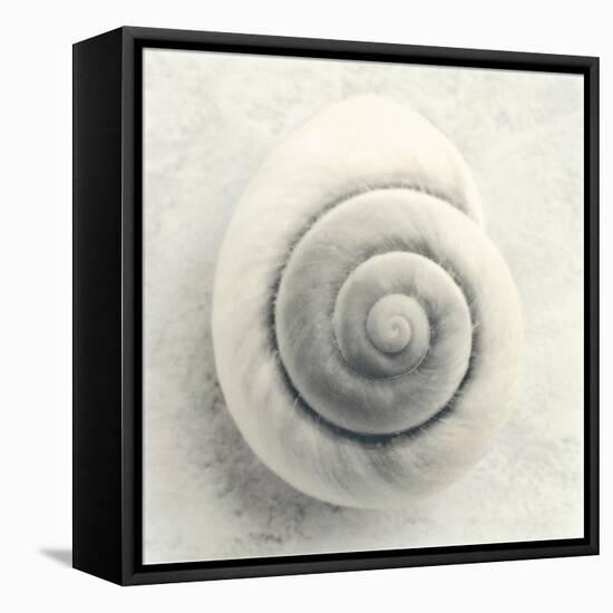 Sea Shapes I-Amy Melious-Framed Stretched Canvas