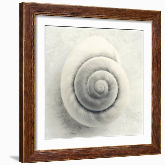 Sea Shapes I-Amy Melious-Framed Art Print