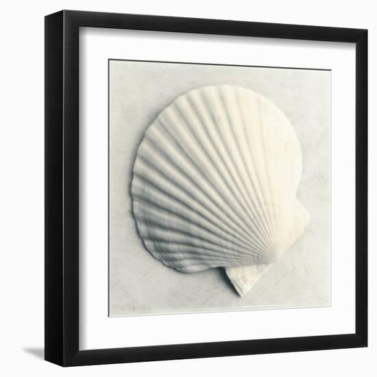 Sea Shapes II-Amy Melious-Framed Art Print